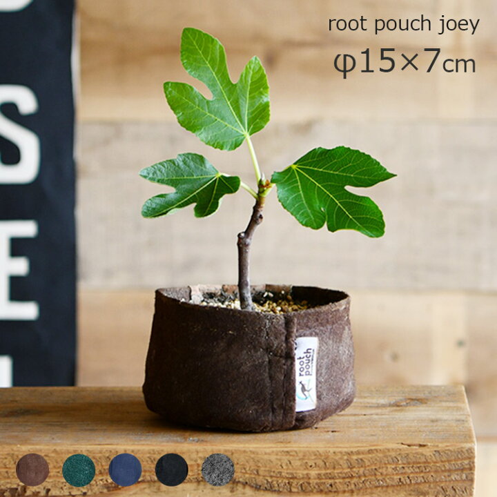 楽天市場 植木鉢 ルーツポーチ Joey 直径15cm 浅型 不織布製 鉢カバー プランター ガーデニング グリーンインテリア 家庭菜園 観葉植物 塊根植物 多肉植物 リサイクル サステナブル 天然素材 通気性 排水性 水はけ 軽量 持ち手なし Root Pouch 高さ7cm 3号 4号用 楽天市場 植木鉢 ルーツポーチ Joey 直径15cm 浅型 不織布製 鉢カバー プランター ガーデニング グリーンインテリア 家庭菜園 観葉植物 塊根植物 多肉植物 リサイクル サステナブル 天然素材 通気性 排水性 水はけ 軽量 持ち手なし Root Pouch 高さ7cm 3号 4号用