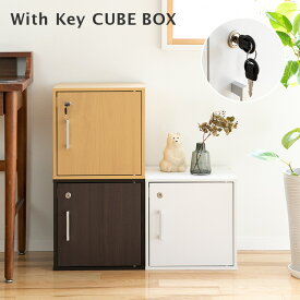 キューブボックス CUBE BOX 鍵付き【カギ付き カギ 鍵 鍵付 扉付き 鍵付き 書庫 収納ボックス カラーボックス 木製 ブラウン 茶 ナチュラル 収納棚 組み合わせ自由 ロッカー シェルフ おしゃれ家具 スリム ウッドラック 本棚 インテリア雑貨 一人暮らし 新生活 生活用品】