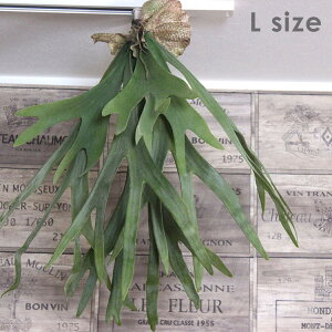 yȂ邷ztFCNO[ RE L yȂ邷 O[  tFCN K[h A[eBtBVO[ Ǌ| ϗtA   k G  