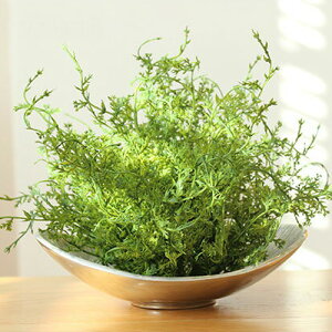 yȂ邷ztFCNO[ tth[yȂ邷 O[  t t tFCN K[h A[eBtBVO[ ~j ϗtA  킢 k i`