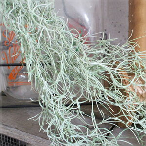 yȂ邷ztFCNO[ VVXyȂ邷 O[  t tFCN K[h A[eBtBVO[ Ǌ| ~j  ϗtA  킢