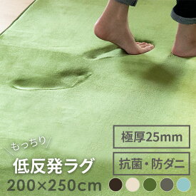 低反発ラグ 200x250cm おしゃれ家具 低反発 ラグ 滑り止め付き ラグマット ふわふわ 絨毯 じゅうたん リビング おしゃれ 秋冬用 春夏用 マット 厚手 赤ちゃん ベビー ノンホルムアルデヒド 防ダニ 抗菌 撥水 ホットカーペット対応 床暖房 遮音 極厚