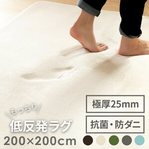ᔽO 200x200cm Ƌ ᔽ O ~ߕt O}bg ӂӂ O~ イ rO  CeA H~p tėp }bg  Ԃ xr[ mzA
