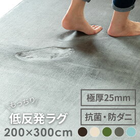 低反発ラグ 200x300cm おしゃれ家具 低反発 ラグ 滑り止め付き ラグマット ふわふわ カーペット 絨毯 リビング おしゃれ 春夏用 厚手 赤ちゃん ベビー ノンホルムアルデヒド 防ダニ 抗菌 撥水 ホットカーペット対応 床暖房 遮音 もちもち 極厚