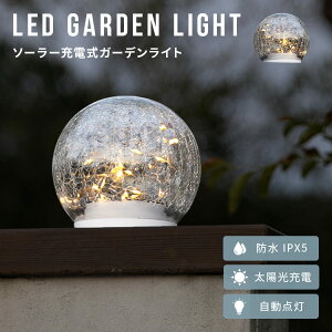 LEDK[f\[[Cg AR Alcor K[fCg CgAbv C~l[V K[fv hJ h O\ ZT[Cg _ K[fjO  \[[[d Lv 