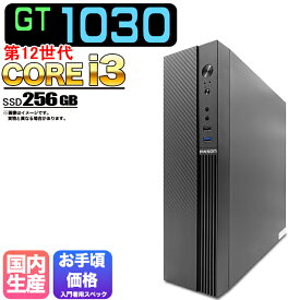 【国内組立の 新品】デスクトップPC デスクトップ パソコン ビジネス GT1030 第12世代 corei3 Windows11 10 SSD256GB メモリ 8GB デスクトップPC 1年保証 安い 激安 ゲーム ゲーミングパソコン ゲーミングPC 高スペック eスポーツ おしゃれ ゲーム 入門用 ★本体のみ★