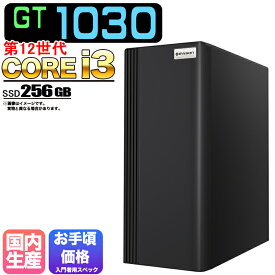 【国内組立の 新品】デスクトップPC デスクトップ パソコン ビジネス GT1030 第12世代 corei3 Windows11 10 SSD256GB メモリ 8GB デスクトップPC 1年保証 安い 激安 ゲーム ゲーミングパソコン ゲーミングPC 高スペック eスポーツ おしゃれ ゲーム 入門用 ★本体のみ★