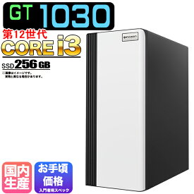 【国内組立の 新品】デスクトップPC デスクトップ パソコン ビジネス GT1030 第12世代 corei3 Windows11 10 SSD256GB メモリ 8GB 1年保証 安い 激安 ゲーム ゲーミングパソコン ゲーミングPC 高スペック eスポーツ おしゃれ 入門用 ★本体のみ★
