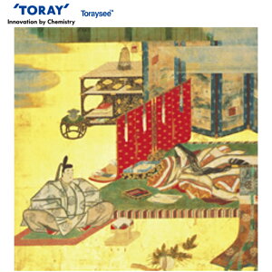 gV[R@uNIvLO @24×27cm@ [A2427P-GNN@]