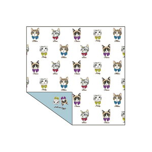 omotenashi cloth ĂȂNX@߂Lbg@zCg@OMOTE-01