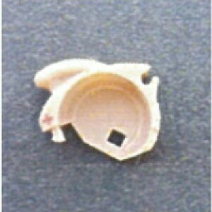 Nikon jR NEF-02pdrz_[@p[c