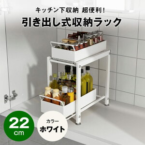 VN[ XChbN 2i 22 / 28cm VN[o VNXChbN VN[ [ VN[I Lb`[ o [ Lb`[ XCh