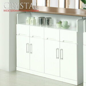 120 JE^[  Lr NX^ aik00490 11-1 120cm