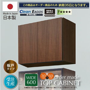 �L���r�l�b�g 60�� �I�[�_�[���[�h �R���N�V�����{�[�h ���r���O�{�[�h �� �I