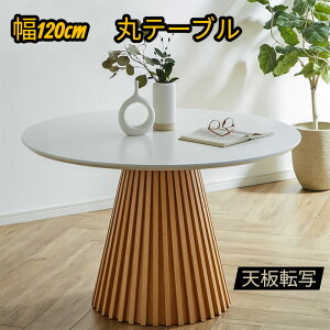 ۃ_CjOe[u 4lp e[u  ی^ 120 ~^ MDF ] k _