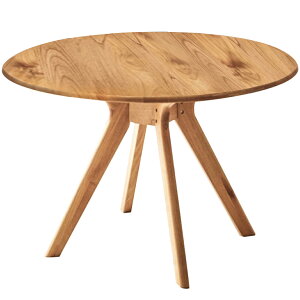 e[u _CjOe[u ۃe[u ~e[u C 110cm Vv k _