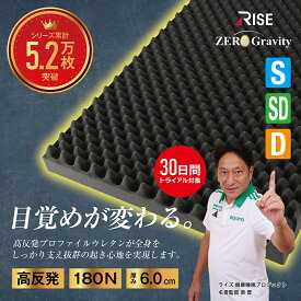 RISE(ライズ) ゼログラビティクリーン 高反発マットレス兼用敷布団 厚さ6.0cm [シングル | セミダブル | ダブル] 高反発マットレス マットレス 敷布団 敷き布団 高反発 硬め 体圧分散 三つ折り 折りたたみ 送料無料