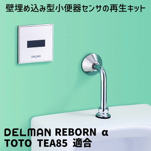 DELMAN ֊ZTĐLbg REBORN  TOTO TEA85 K Ήi