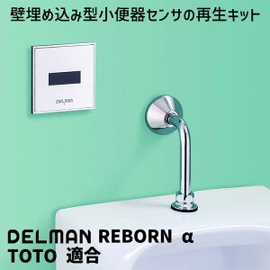 DELMAN ֊ZTĐLbg REBORN  TOTO K Ήi