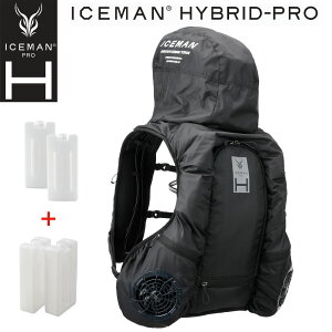 `[W{g5.0 2ǉ KX 1Nۏ 2025 ACX} HYBRID-PRO tZbg ICMPH + ICEMAN nCubhv 24V t@Eobe[ Zbg }V ╞  