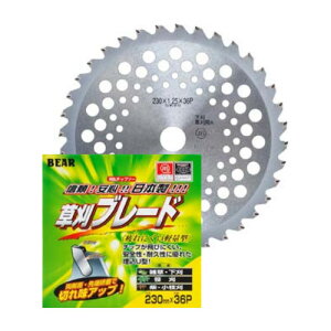 xA[ BEAR `bv\[ u[h 230×36P Oa230mm×n36P oN} y  u[h @̐n