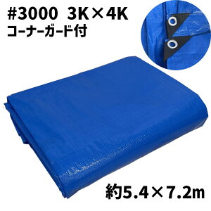 u[V[g  #3000 3K×4K (5.4m×7.2m) R[i[K[ht h h J  AEghA W[V[g 蹍 h ЊQ ΍ \h  TVF[h eg ^[v {V[g