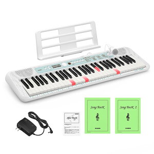 CASIO LK-335 ���i�r�Q�[�V�����L�[�{�[�h 61���� �J�V�I