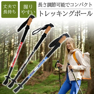 gbLO|[ I^ XgbN ܂ ܂肽 1{ nCLO gbLO Lv s oR Lk|[ A~ A~jE A~jE y \ XebL