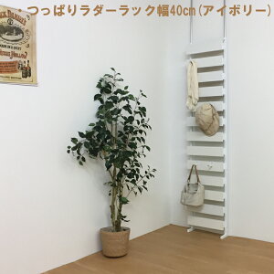 ς@ǖ ԖȂׂ bN@ς胉_[40cm 180cm y{Ez ^bN ǖʎ[ ς fUCi[  @֐