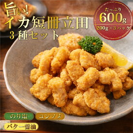 イカ いか おつまみ ギフト 200g 短冊 竜田揚げ 詰め合わせ イカ短冊立田 セット 真空パック 美味しい 魚 冷凍 食品 イカ おかず おやつ コンソメ のり塩 バター醤油 揚げるだけ 父の日 ※ 訳あり 骨なし魚 国産 干物 50g 一夜干し イカの一夜干し ではありません SSS