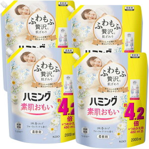 yP[X̔zn~Of t _ ӂґȔEn~ONo.1̂炩 t[u[P̍ lւp 2000ml×4