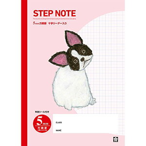 TNNpX wK Ē×SfUC 5mm t`uhbO 10 NG501(10)