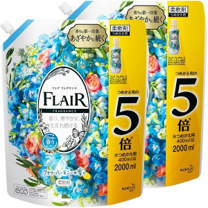 y܂ƂߔztAtOX _ t[&n[j[ lߑւ e 2000ml×2