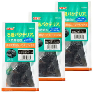 WFbNX oNeAtn   3×3Zbg