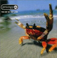 【中古】(CD)ザ・ファット・オブ・ザ・ランド／プロディジー
