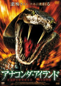 楽天市場 ジェシカ スティーンの通販
