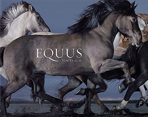 中古 Equus Tim Flach 定番 正規販売店