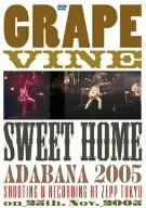 決算特価商品 中古 sweet home オープニング大放出セール adabana DVD 2005 GRAPEVINE