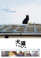 【中古】犬猫 [DVD]／井口奈己