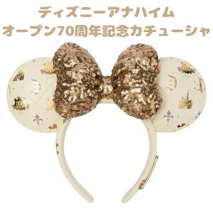 fBYj[ AinCp[N 70NLO ~j[}EX J`[V S[h XpR[ { Disney