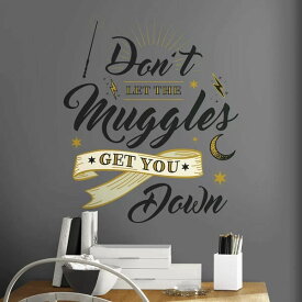 Harry Potter 【 ハリーポッター / 貼ってはがせる ウォール ステッカー / ロンの手紙 Don't let the Muggles get you down / 6ピース 】