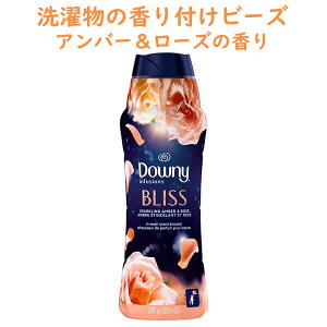 _Ej[ tp Xp[NO Ao[ & [Y ̍ Ct[WY uX CEHbV Zg u[X^[ r[Y 680g 24oz Downy