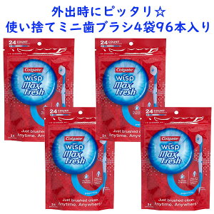  4܃Zbg  ĝ uV ~juV }bNXtbV 24{×2 Colgate RQ[g