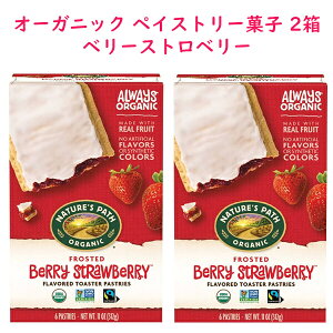 2Zbg I[KjbN yCXg[َq g[X^[ yCXg[ tXg x[Xgx[ 6 11oz 312g Nature's Path lC`[YpX