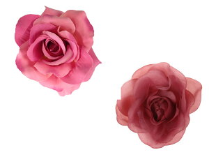 y@[z2WAYKN@RT[W@a11CM w @ Ǝ  a@ KN ΂ o t[@ ӂ肻  q l