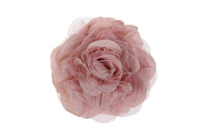 y@[z2WAY@RT[W@a9CM w @ Ǝ  a@ t[@ ӂ肻  q l