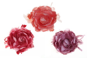 y [ցz2WAY@RT[W@a10CM w @ Ǝ  a@ t[@ ӂ肻  q l