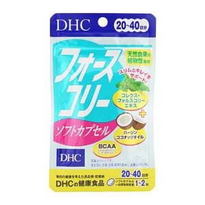 DHC fB[GC`V[ tH[XR[ \tgJvZ 20~40 40 h{⏕Hi Tvg NHi _CGbg RRibcIC[MtgbsOΉ]