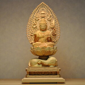 ؒ蕧@x{yFz@Vwۍ@ѐA@2.0@CNEN