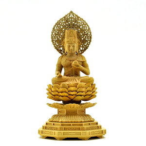 ؒ蕧@x{y󑠕Fz@ѐA@2.5@23.5cm@NN@ДN